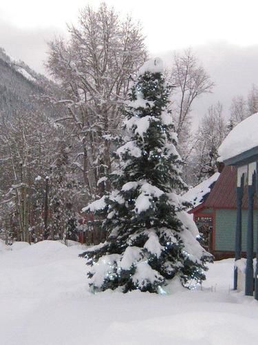 Blair Street Hostel Telluride Exterior photo